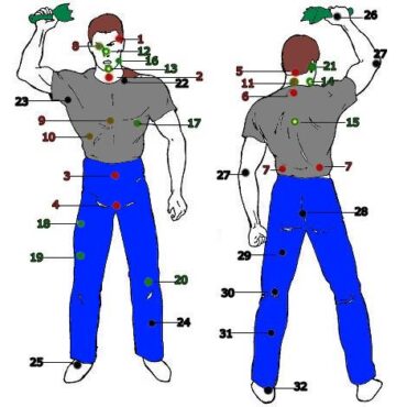 Активные точки на спине человека в картинках